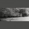 Tracey Miller Associates