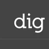 dig Architecture