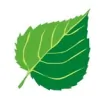 Bauercombs & Associates